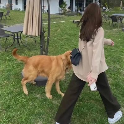 给你的短信